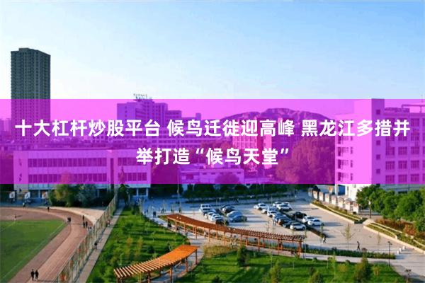 十大杠杆炒股平台 候鸟迁徙迎高峰 黑龙江多措并举打造“候鸟天堂”
