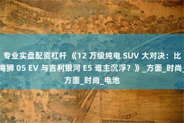 专业实盘配资杠杆 《12 万级纯电 SUV 大对决：比亚迪海狮 05 EV 与吉利银河 E5 谁主沉浮？》_方面_时尚_电池