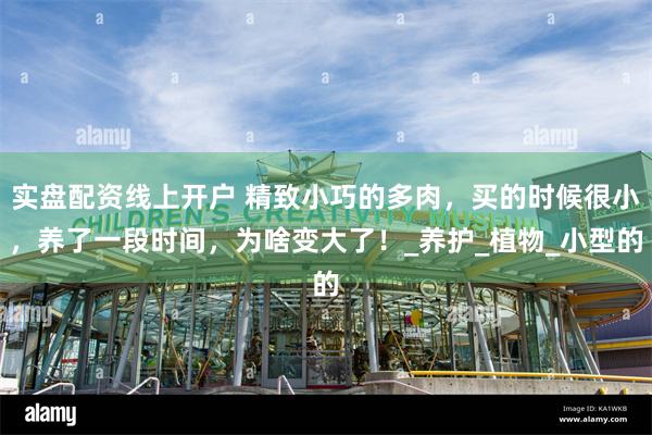 实盘配资线上开户 精致小巧的多肉，买的时候很小，养了一段时间，为啥变大了！_养护_植物_小型的