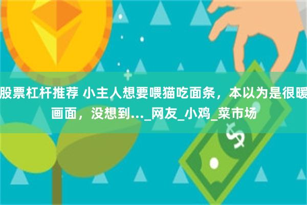 股票杠杆推荐 小主人想要喂猫吃面条，本以为是很暖画面，没想到..._网友_小鸡_菜市场