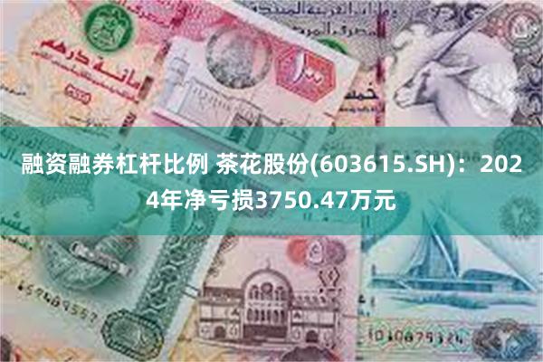 融资融券杠杆比例 茶花股份(603615.SH)：2024年净亏损3750.47万元