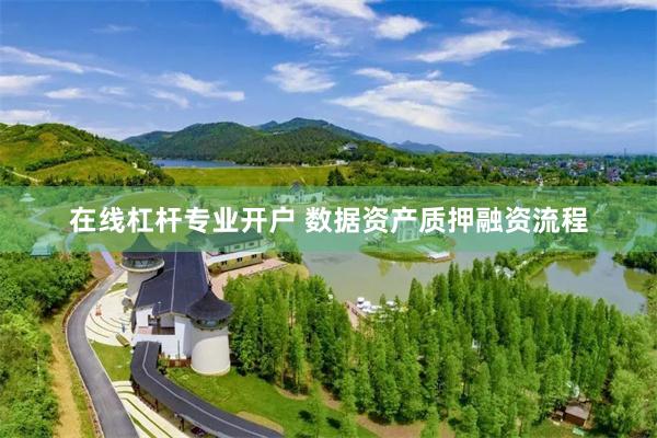 在线杠杆专业开户 数据资产质押融资流程
