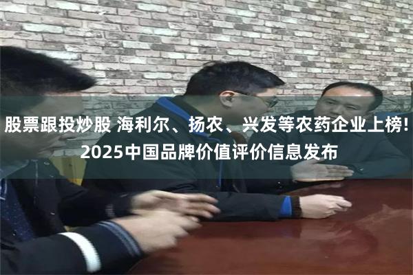 股票跟投炒股 海利尔、扬农、兴发等农药企业上榜! 2025中国品牌价值评价信息发布