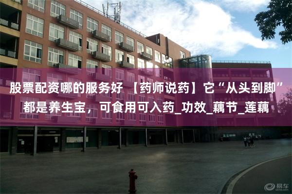 股票配资哪的服务好 【药师说药】它“从头到脚”都是养生宝，可食用可入药_功效_藕节_莲藕