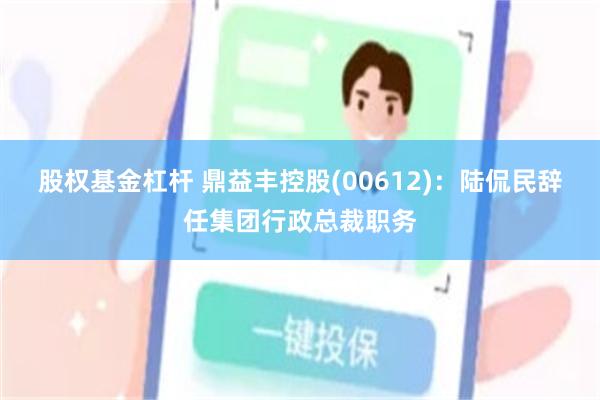 股权基金杠杆 鼎益丰控股(00612)：陆侃民辞任集团行政总裁职务