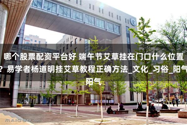 哪个股票配资平台好 端午节艾草挂在门口什么位置？易学者杨道明挂艾草教程正确方法_文化_习俗_阳气