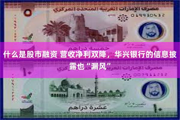 什么是股市融资 营收净利双降，华兴银行的信息披露也“漏风”